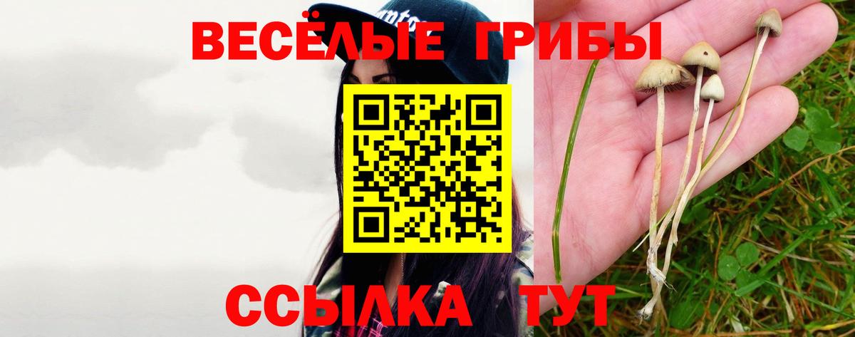 Славянск-на-Кубани  Псилоцибиновые грибы Cubensis  Вход с VPN 